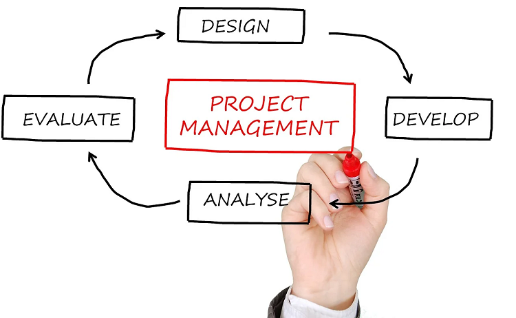 project management roles