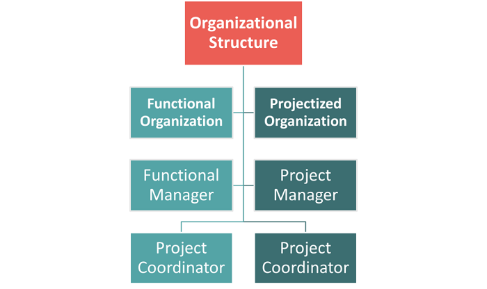 organizational sructure overview for project roles