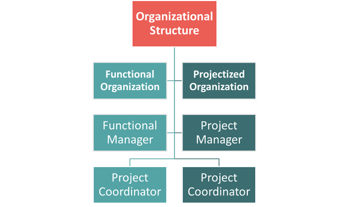 Project Management vs Project Coordination Compared - Projects Pivot